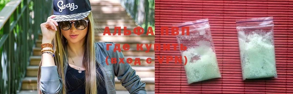 тгк Алзамай