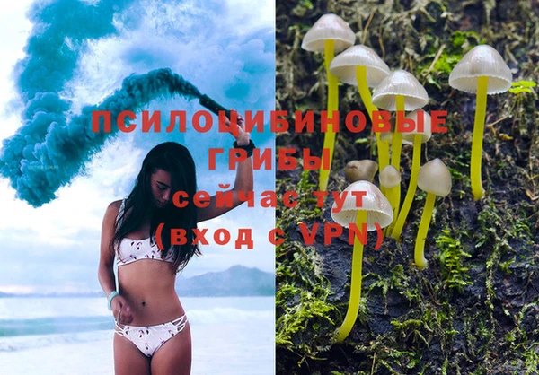 тгк Алзамай