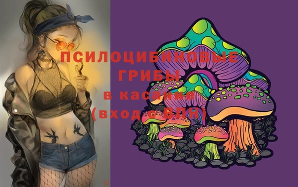 мяу мяу мука Алексин