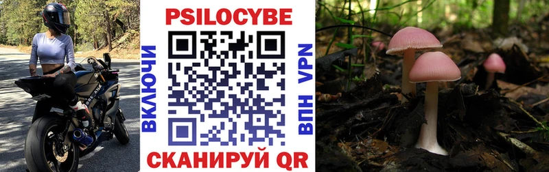 мега вход Артёмовский Галлюциногенные грибы мицелий